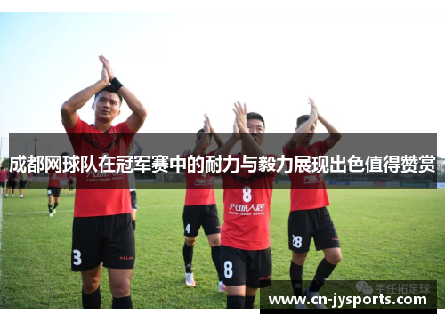 成都网球队在冠军赛中的耐力与毅力展现出色值得赞赏